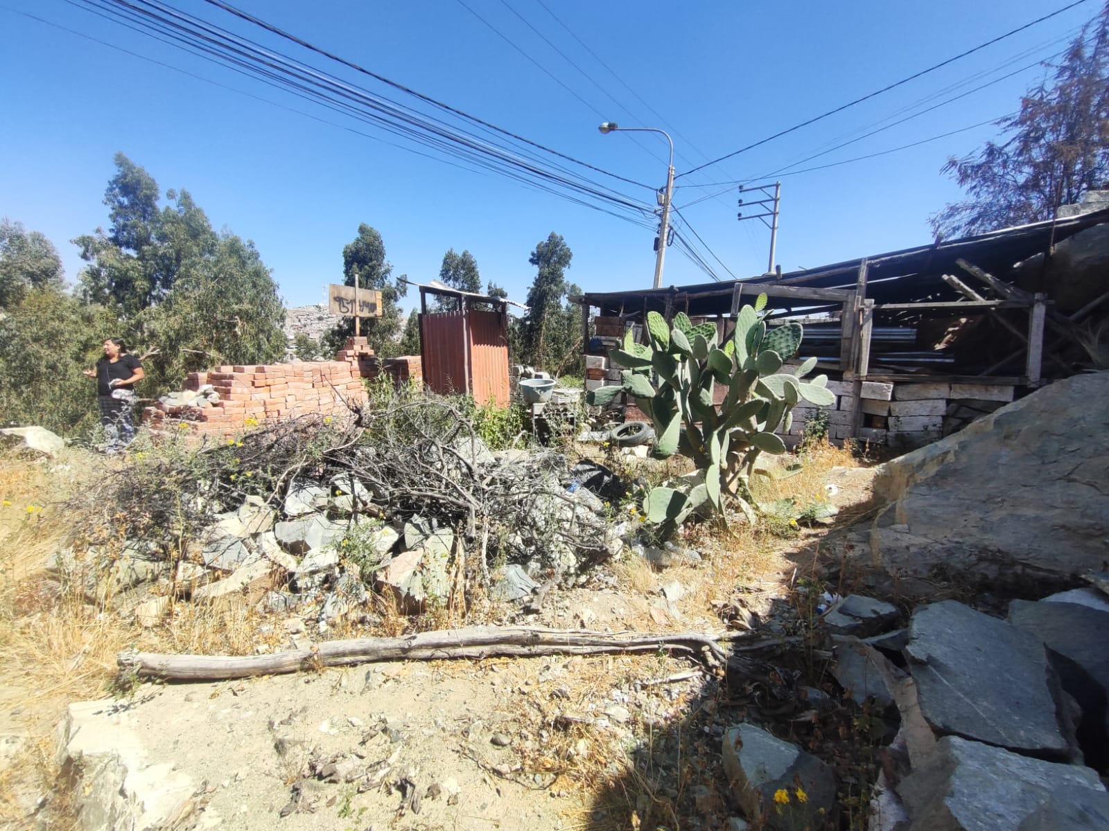 WhatsApp Image 2026-04-02 at 7.02.34 PM.jpeg