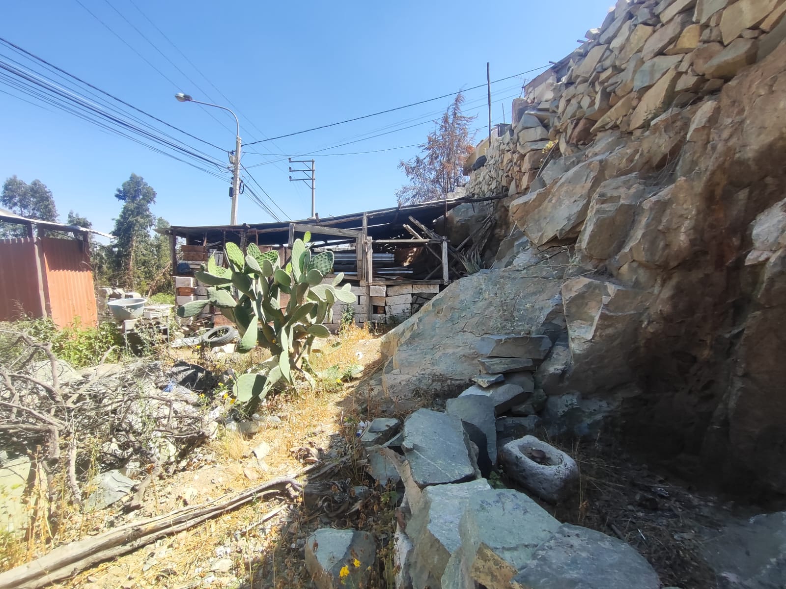 WhatsApp Image 2026-04-02 at 7.02.33 PM (1).jpeg