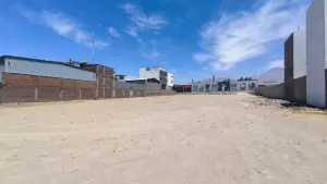 WhatsApp Image 2026-01-12 at 5.07.09 PM.jpeg