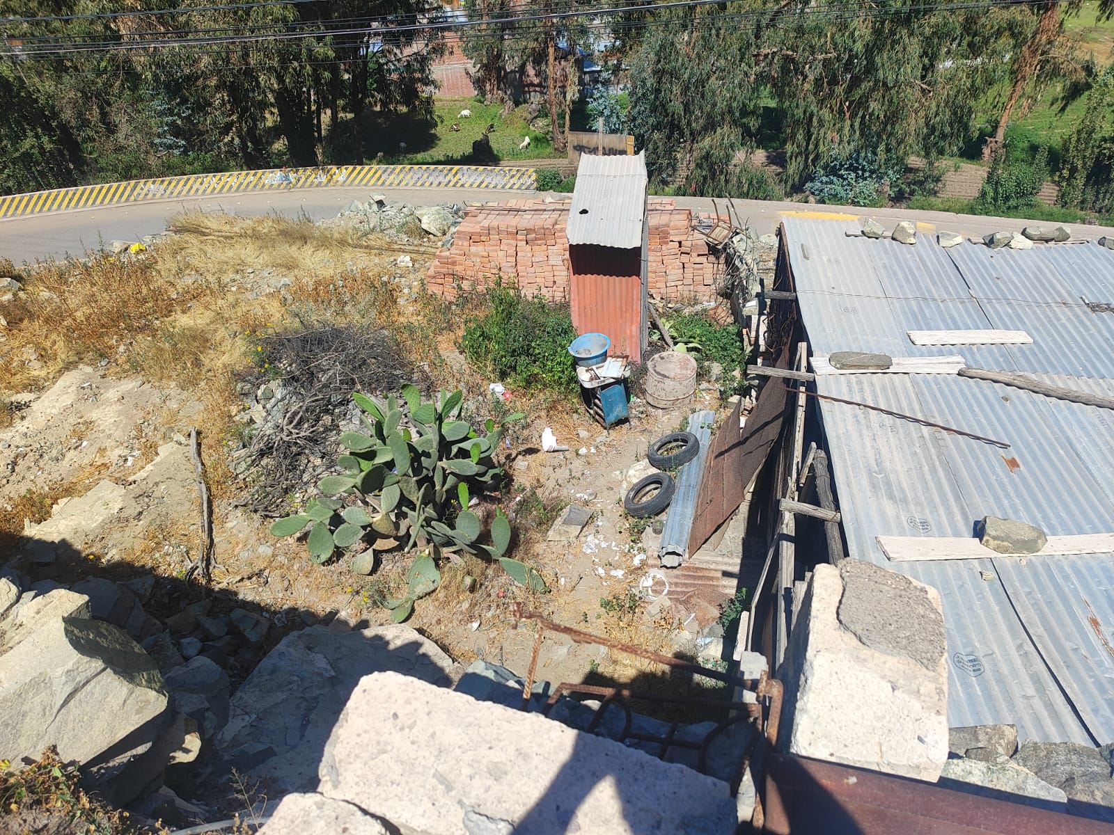 WhatsApp Image 2026-04-02 at 7.02.32 PM.jpeg