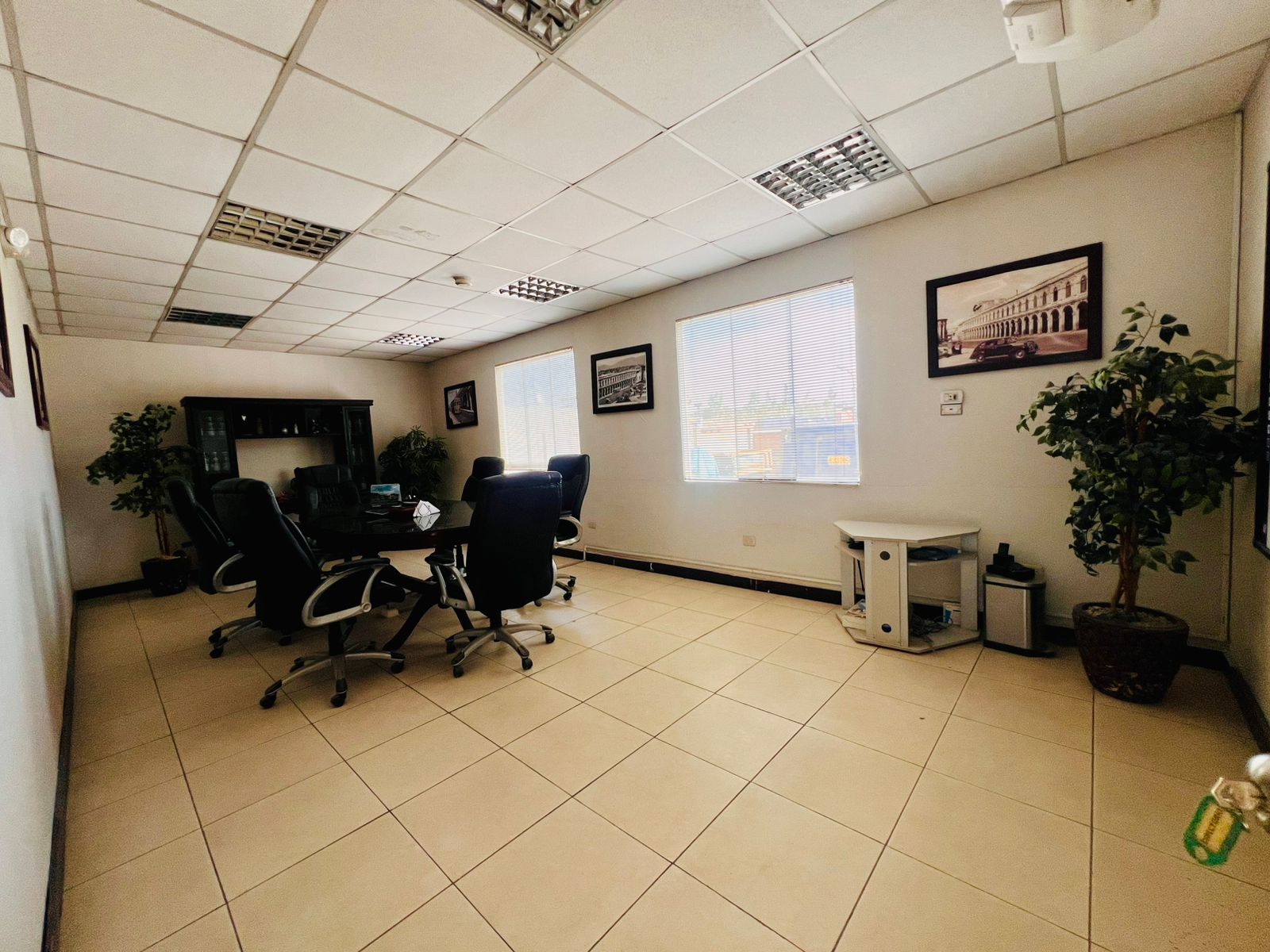 WhatsApp Image 2026-04-07 at 2.07.10 PM (3).jpeg