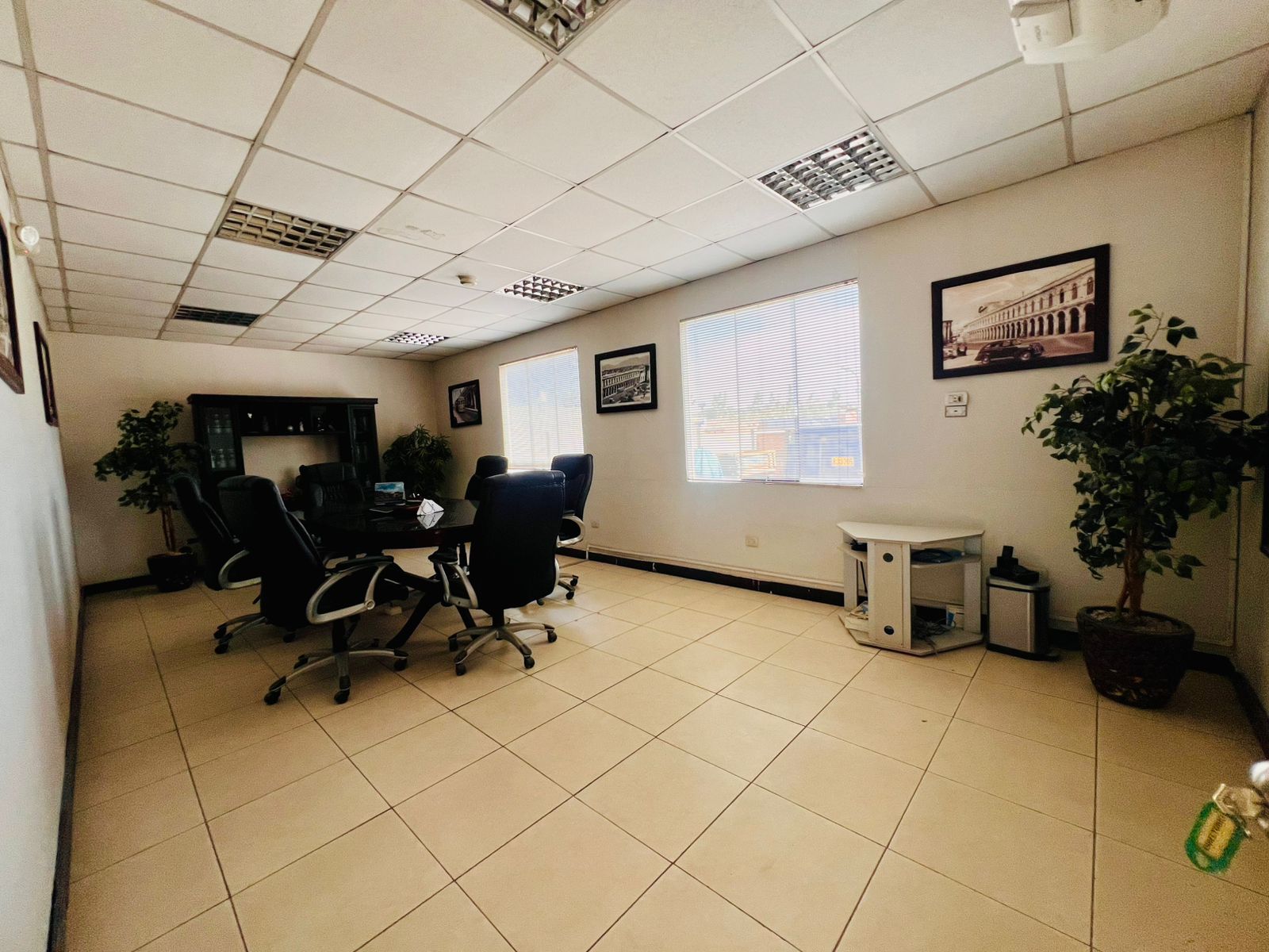 WhatsApp Image 2026-04-07 at 2.07.10 PM (4).jpeg