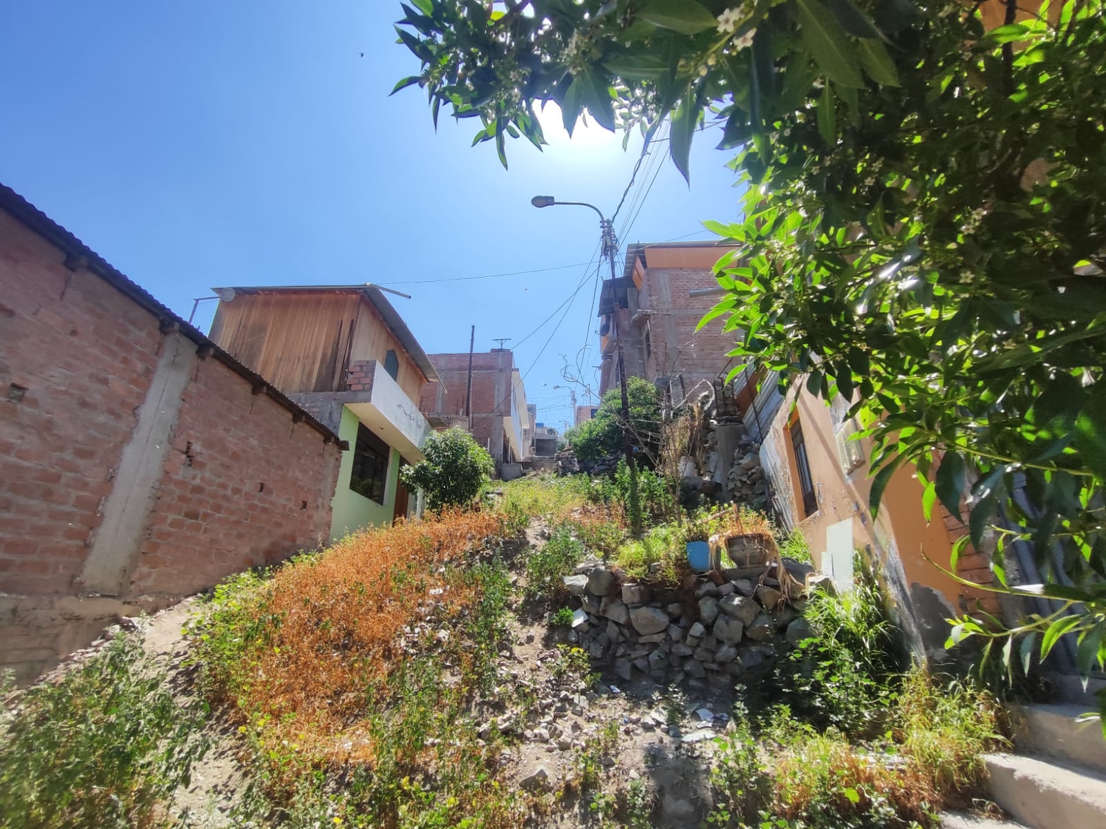 WhatsApp Image 2026-04-02 at 7.02.35 PM.jpeg