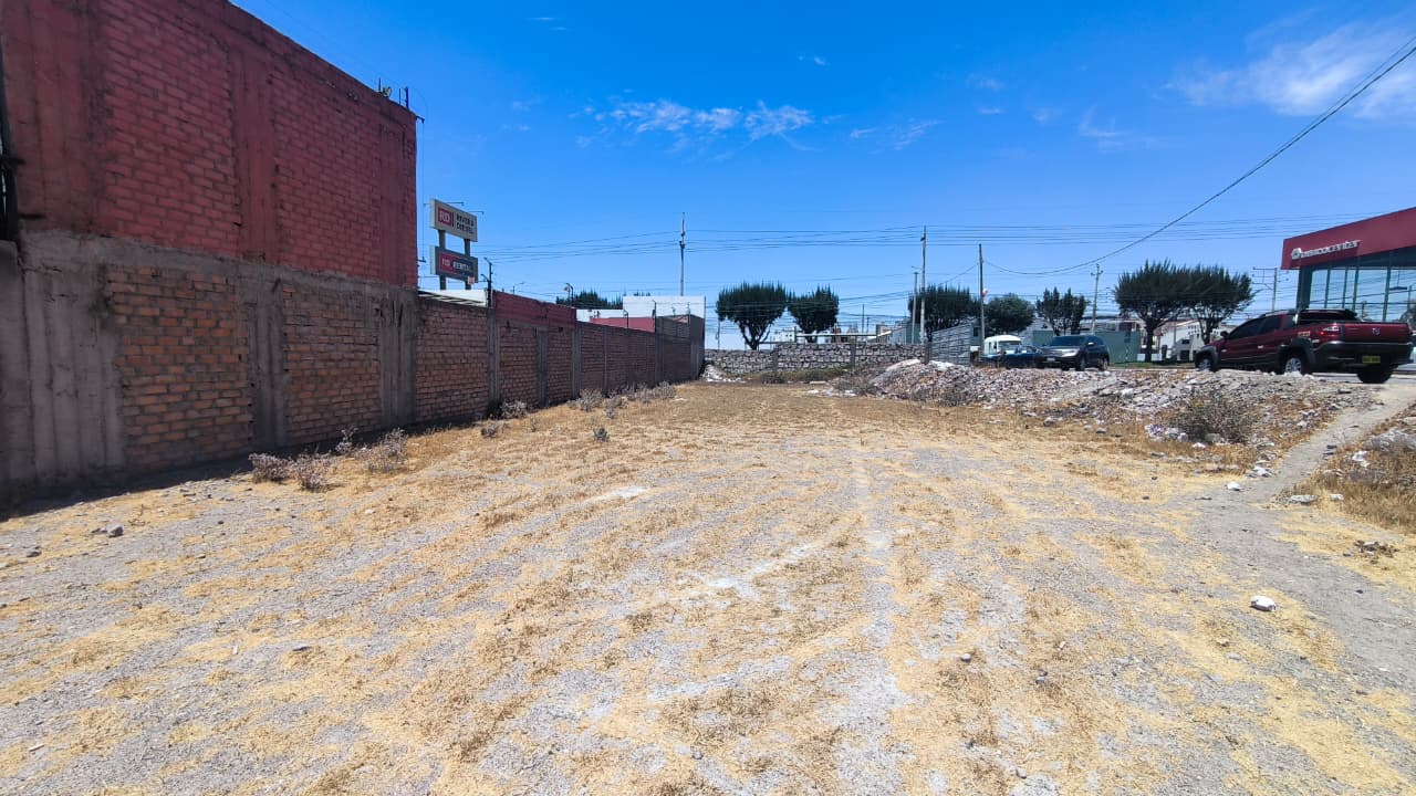 WhatsApp Image 2026-01-12 at 5.07.09 PM (1).jpeg