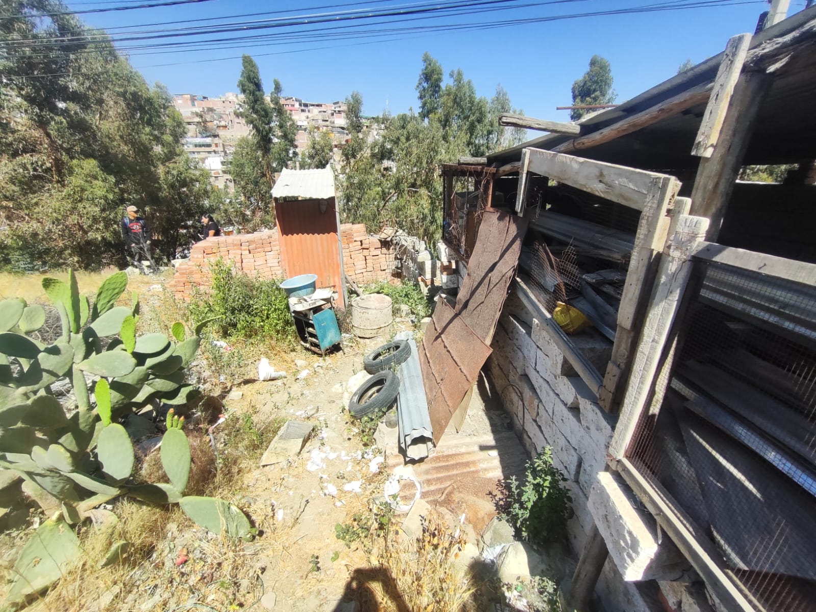 WhatsApp Image 2026-04-02 at 7.02.33 PM.jpeg