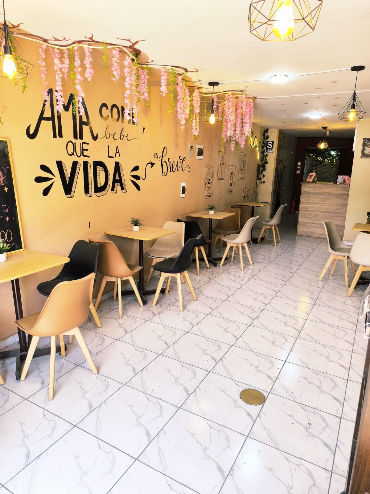 WhatsApp Image 2026-03-03 at 10.13.12 AM.jpeg