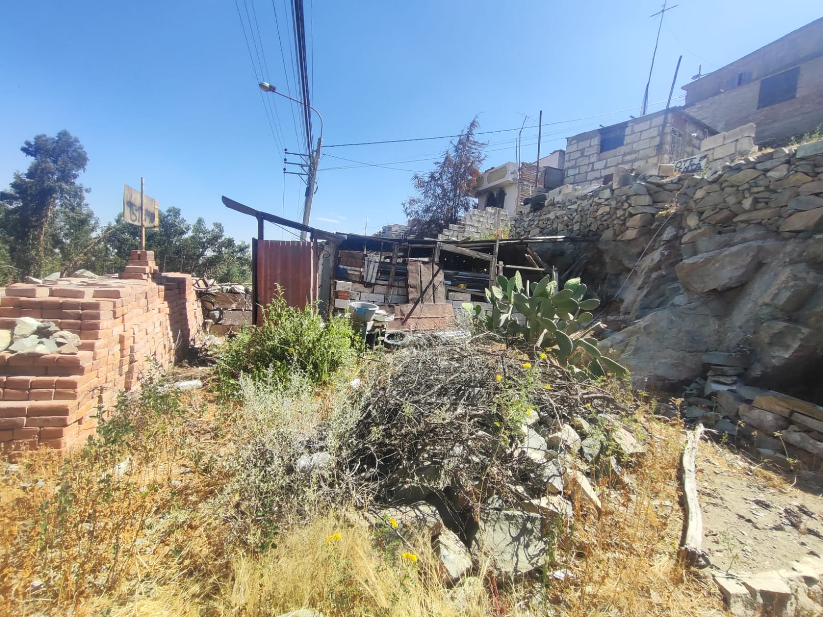 WhatsApp Image 2026-04-02 at 7.02.33 PM (2).jpeg