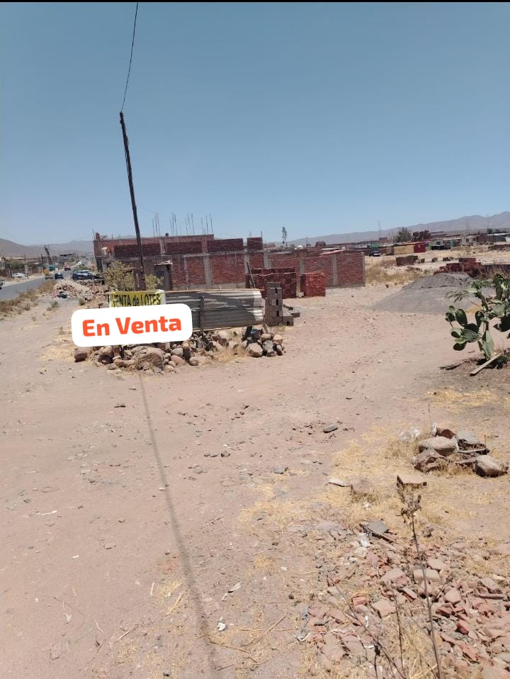 WhatsApp Image 2026-02-11 at 3.59.13 PM.jpeg