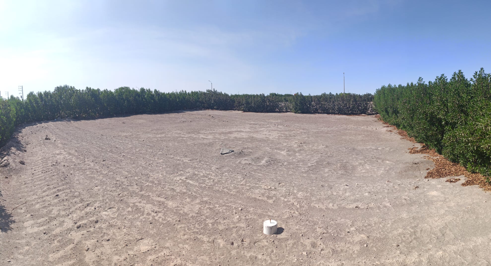 WhatsApp Image 2025-12-16 at 11.11.30 AM (4).jpeg