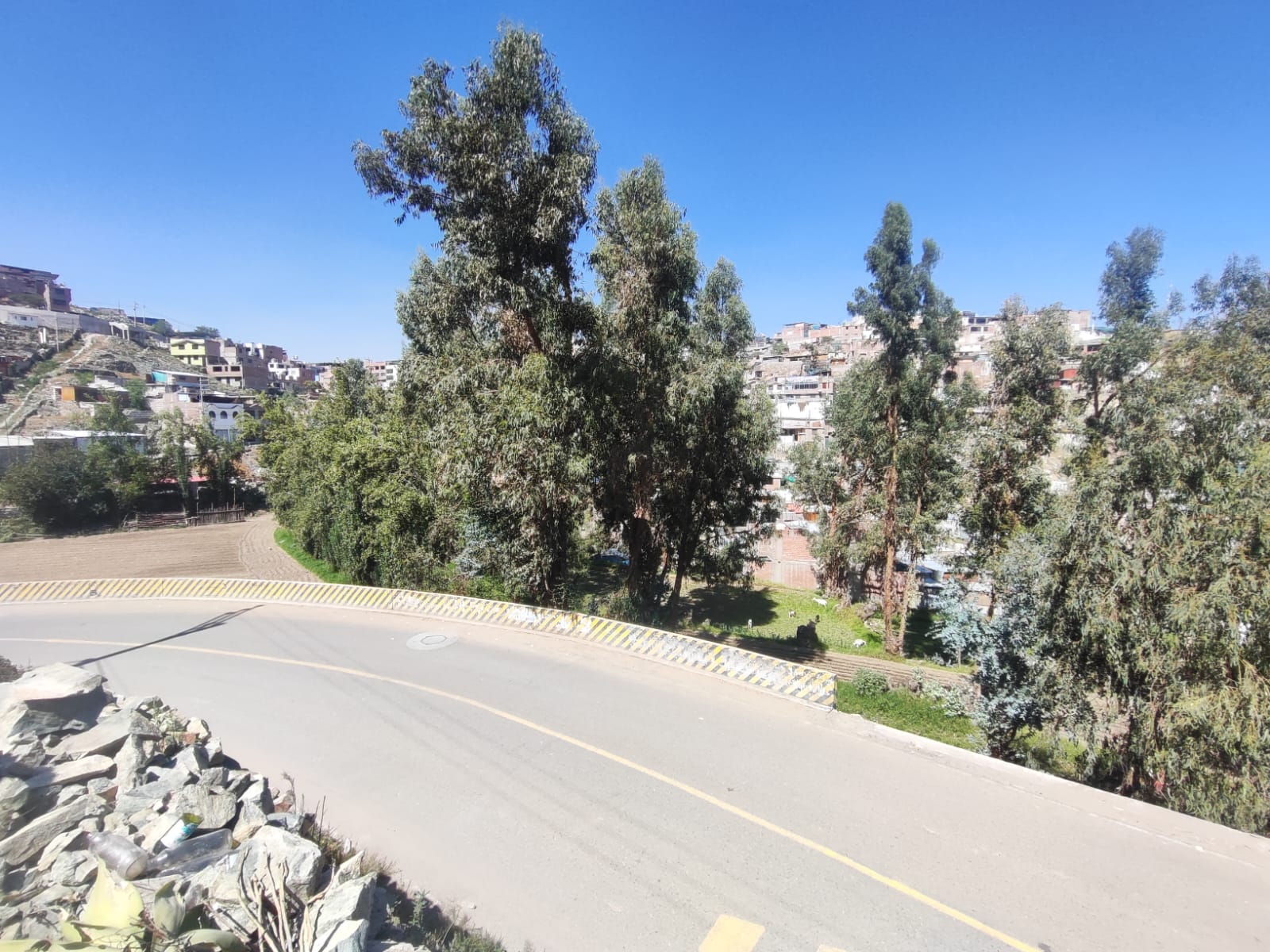 WhatsApp Image 2026-04-02 at 7.02.35 PM (4).jpeg