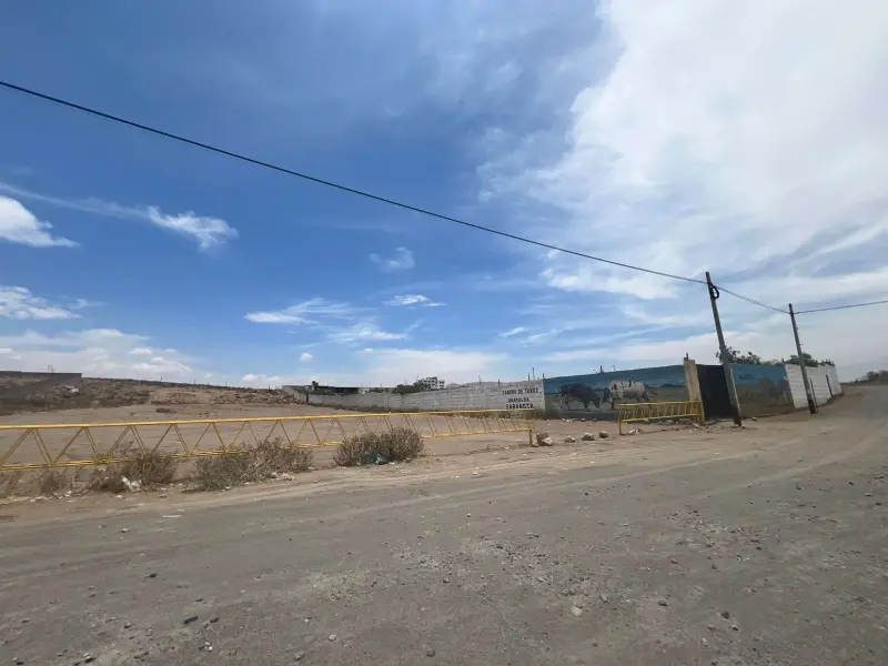 WhatsApp Image 2026-03-14 at 12.01.22 AM.jpeg