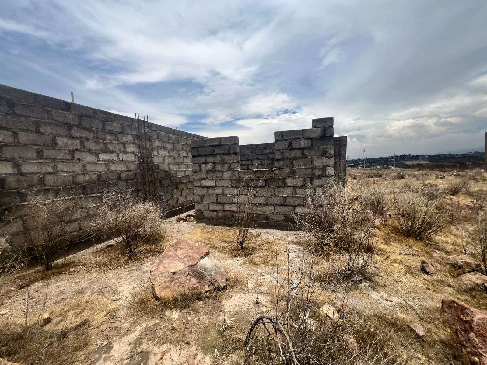 WhatsApp Image 2026-03-14 at 12.01.20 AM (3).jpeg