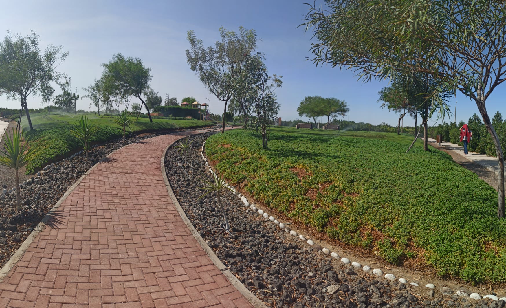 WhatsApp Image 2025-12-16 at 11.11.31 AM.jpeg