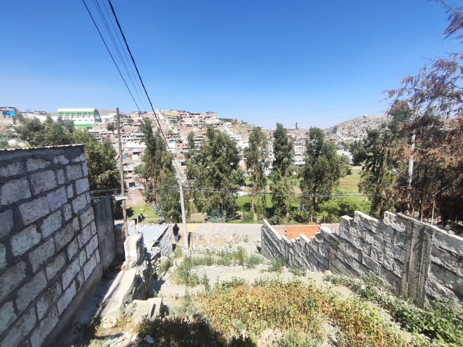 WhatsApp Image 2026-04-02 at 7.02.34 PM (3).jpeg