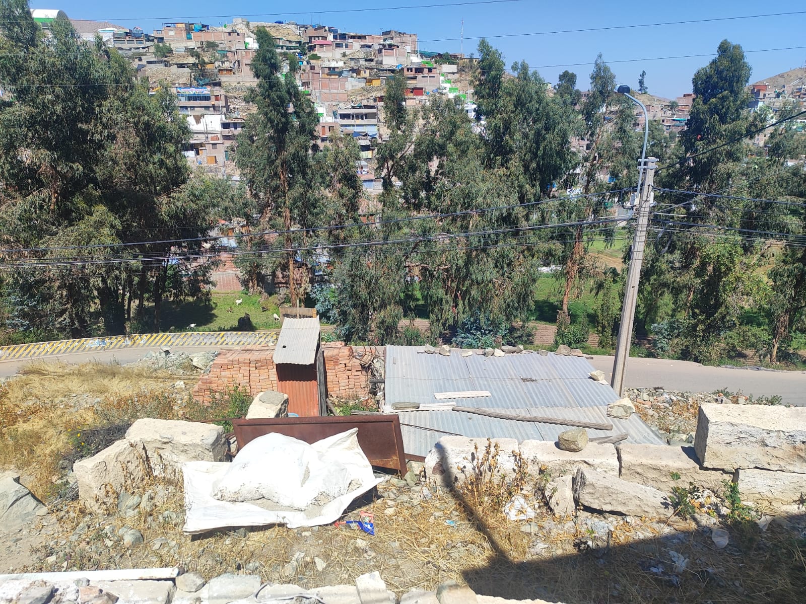 WhatsApp Image 2026-04-02 at 7.02.30 PM.jpeg