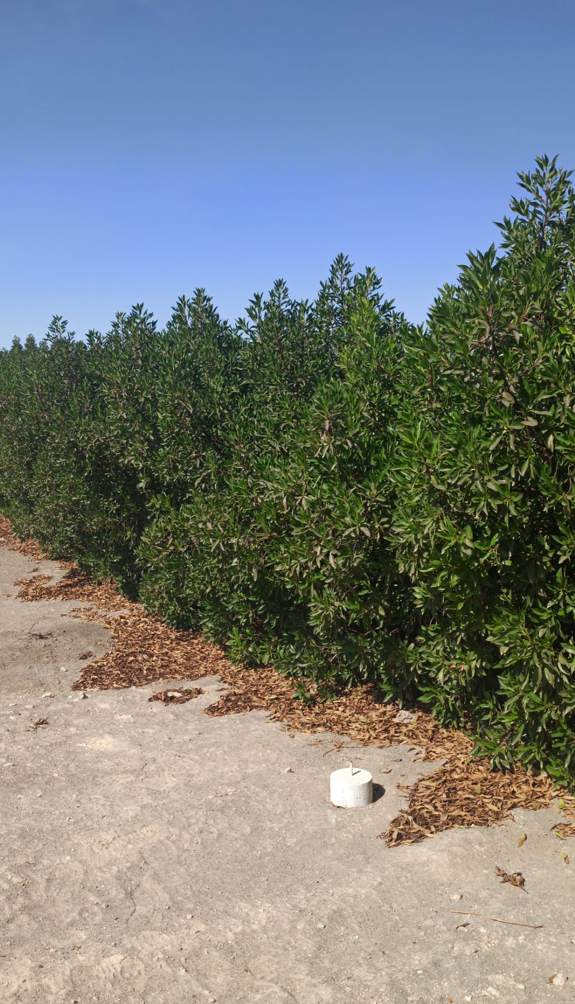 WhatsApp Image 2025-12-16 at 11.11.31 AM (1).jpeg